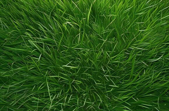 A Close Up of Grass Texture